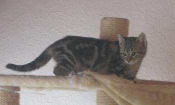 Bild von Olivia