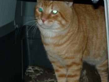 r Bild von Rubio