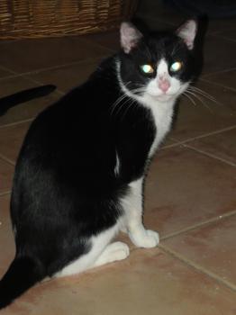 Bild von Tobi