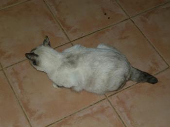 m Bild von Mamina