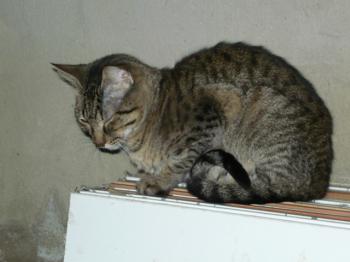 k Bild von Kimmi