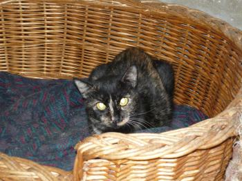 Bild von Greta