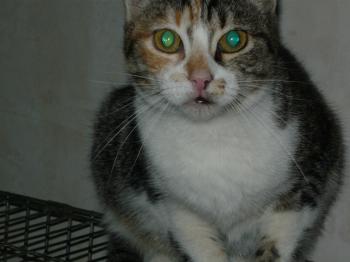 c Bild von Cindy