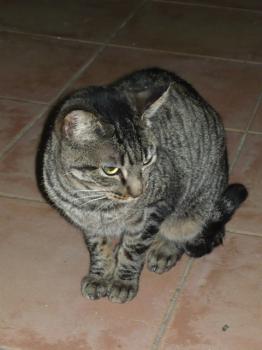 k Bild von Kimmi