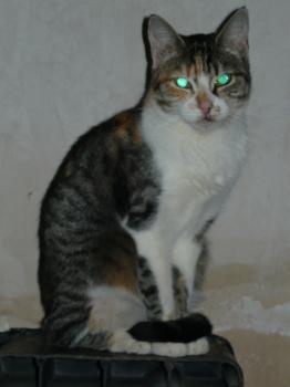 c Bild von Cindy
