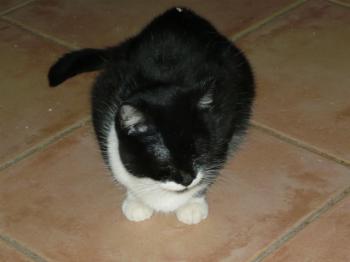 Bild von Hope