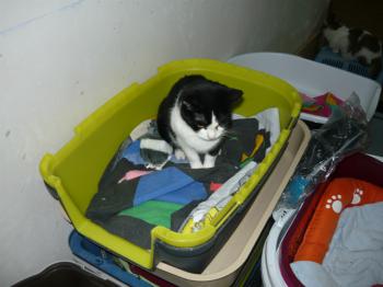l Bild von Lorda