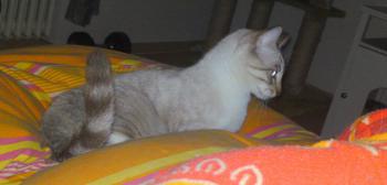l Bild von Luno