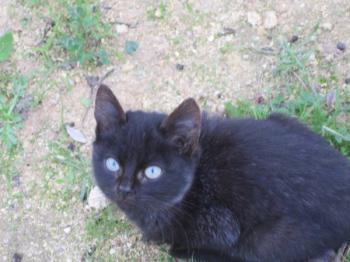 o Bild von Binga