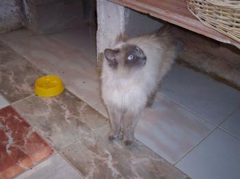m Bild von Muñeca