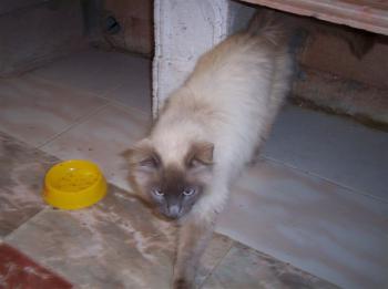 m Bild von Muñeca