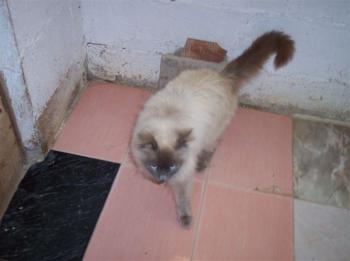 m Bild von Muñeca