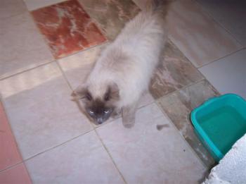 m Bild von Muñeca