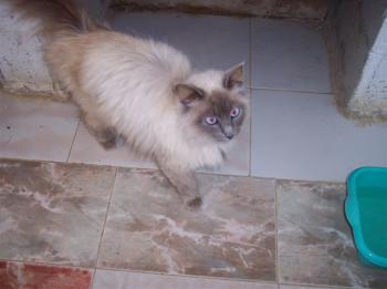 m Bild von Muñeca