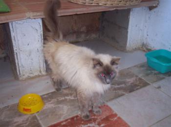 m Bild von Muñeca