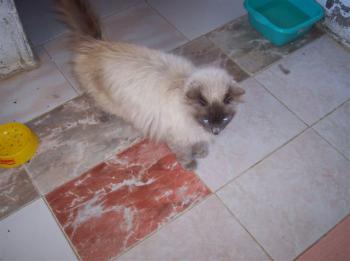 m Bild von Muñeca