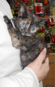 t Bild von Tina