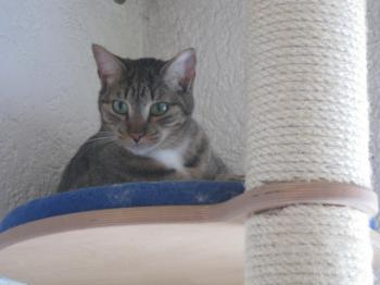 b Bild von Benjamin