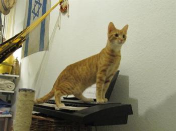 t Bild von Tuna