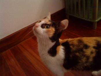 t Bild von Teresita