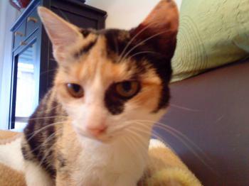 t Bild von Teresita