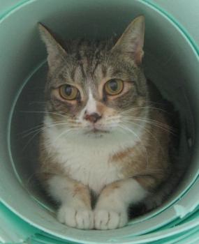 g Bild von Gretel