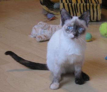 Bild von Duna