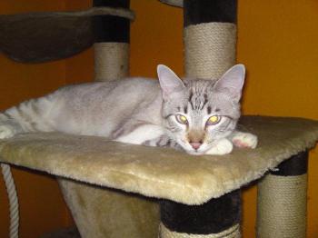 l Bild von Luno
