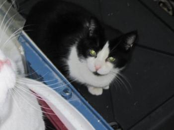 l Bild von Lorda