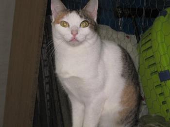 p Bild von Polly