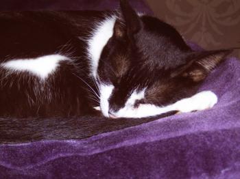 j Bild von Jina