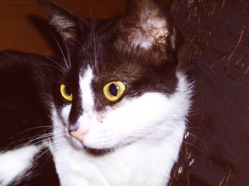 j Bild von Jina