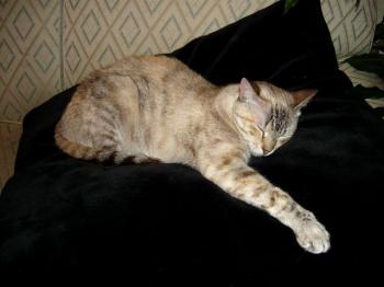 Bild von Emily