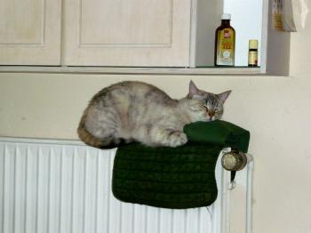 Bild von Emily
