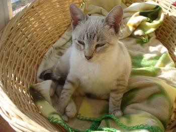 o Bild von Celeste