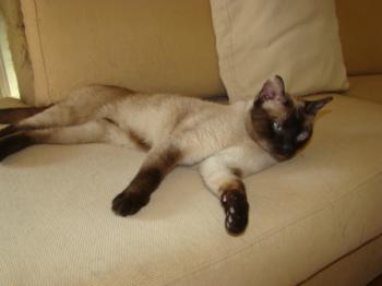 Lenny Bild von Lenny