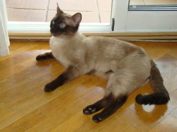 Lenny Bild von Lenny