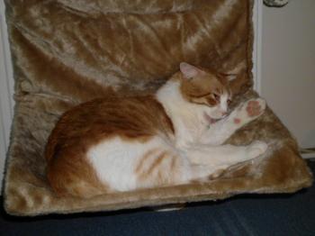 m Bild von Milow