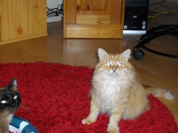 Bild von Micho