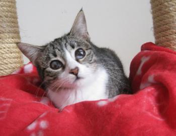 c Bild von Carlota - Flora