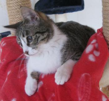 c Bild von Carlota - Flora