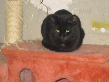 Bild von Tulio