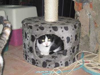l Bild von Lorda
