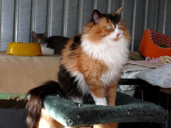 l Bild von Liona