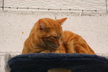 m Bild von Martinez - One