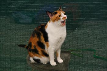 m Bild von Michus