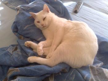 Casper Bild von Casper