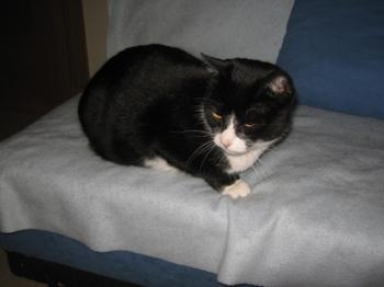 Fivie Bild von Fivie