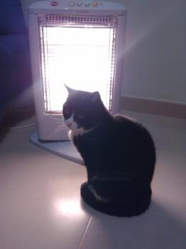 Fivie Bild von Fivie