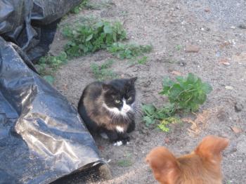 Jerry Bild von Jerry